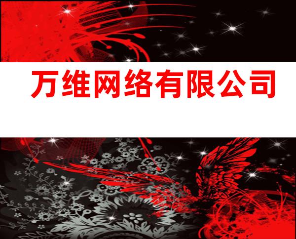 万维网络有限公司